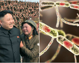 Šokantno otkriće doktora iz krvi muškarca prebjeglog iz Sjeverne Koreje