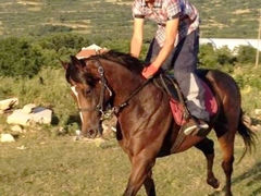 Ovo je mladić iz Brodosavca koji je danas izgubio život nakon što je pao sa konja!