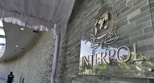 Da li Kosovo ima dovoljnu podršku za članstvo u Interpolu