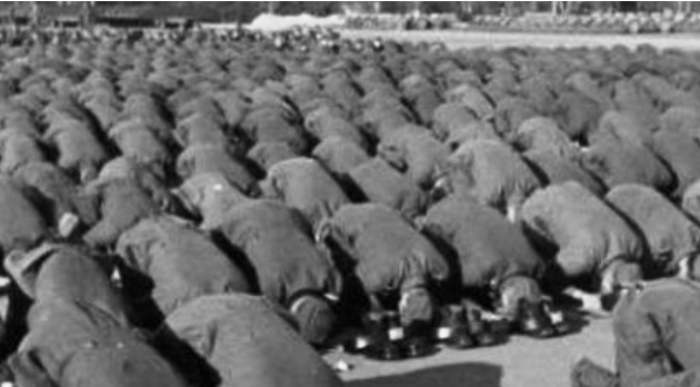 Hitler i Islam: Knjiga o kojoj bruji njemačka