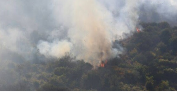 Požar u Župi: Izgorjelo 2.5 hektara šume