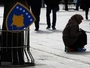 Na Kosovu 25.259 porodica koristi socijalnu pomoć